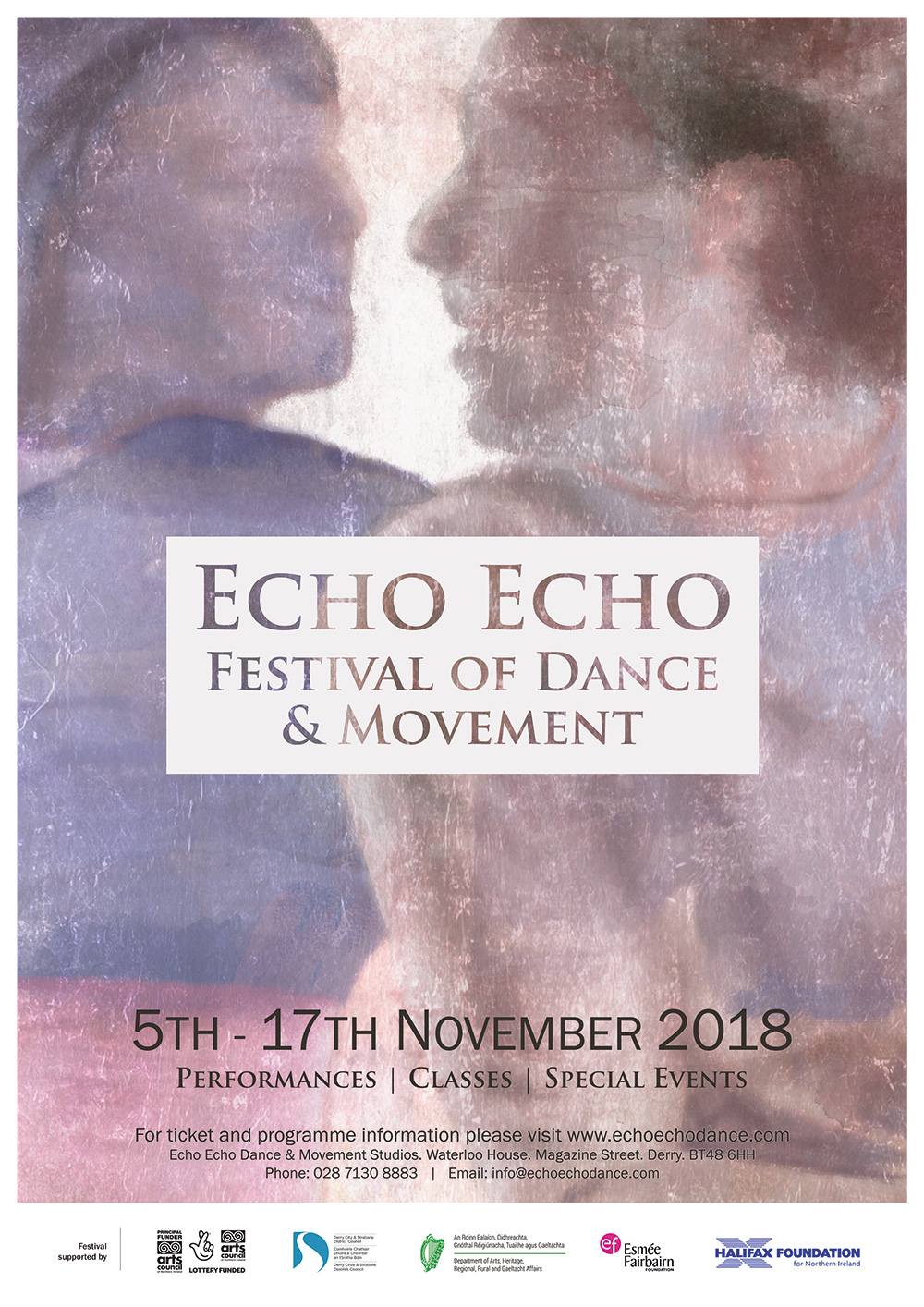 Echo Echo Festival 2018 artwork by zoocreative